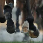 Gambling on Horse Racing Online