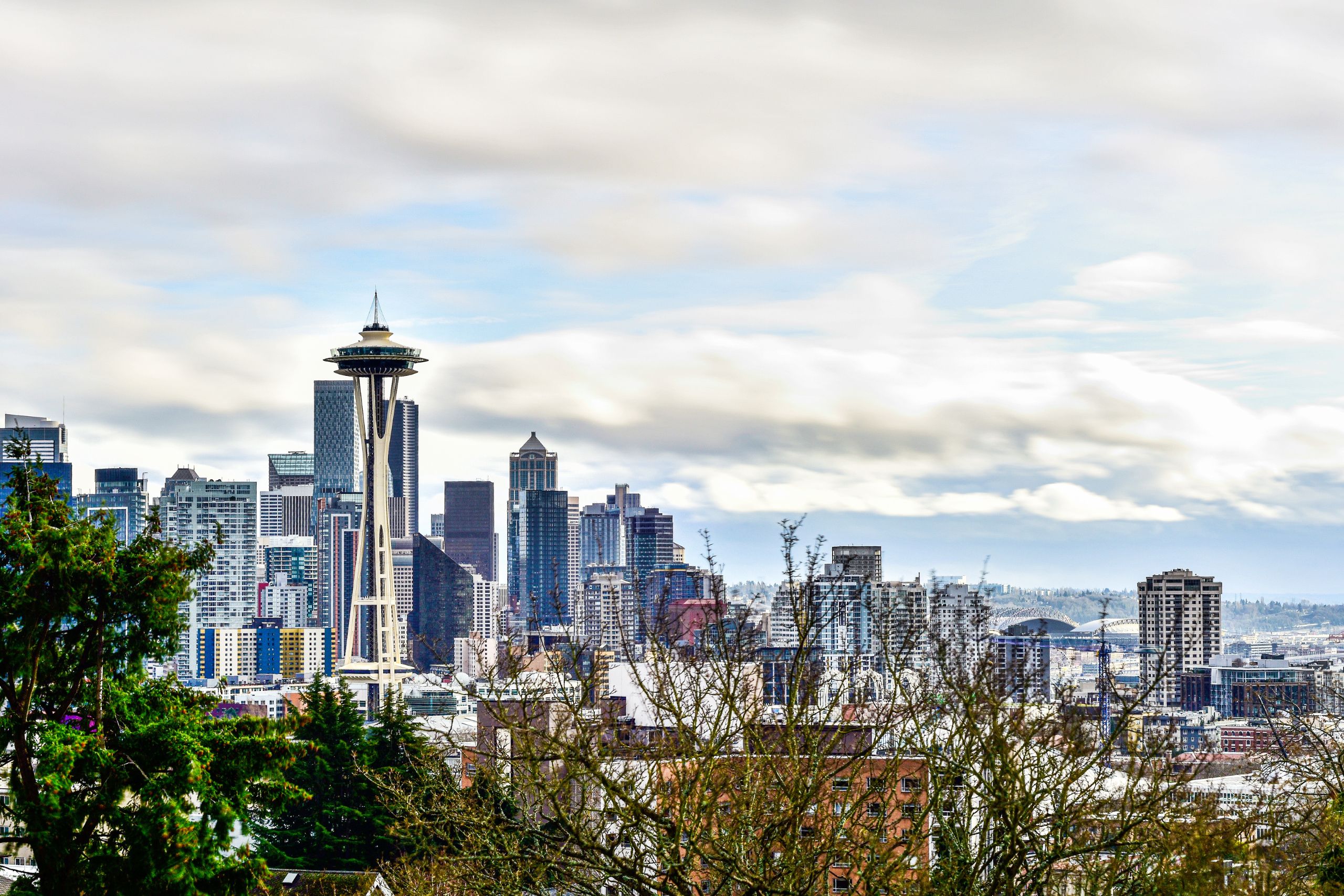 Things to Do in Seattle For People With Reduced Mobility