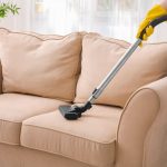 What Are Professional Carpet and Upholstery Cleaning Services
