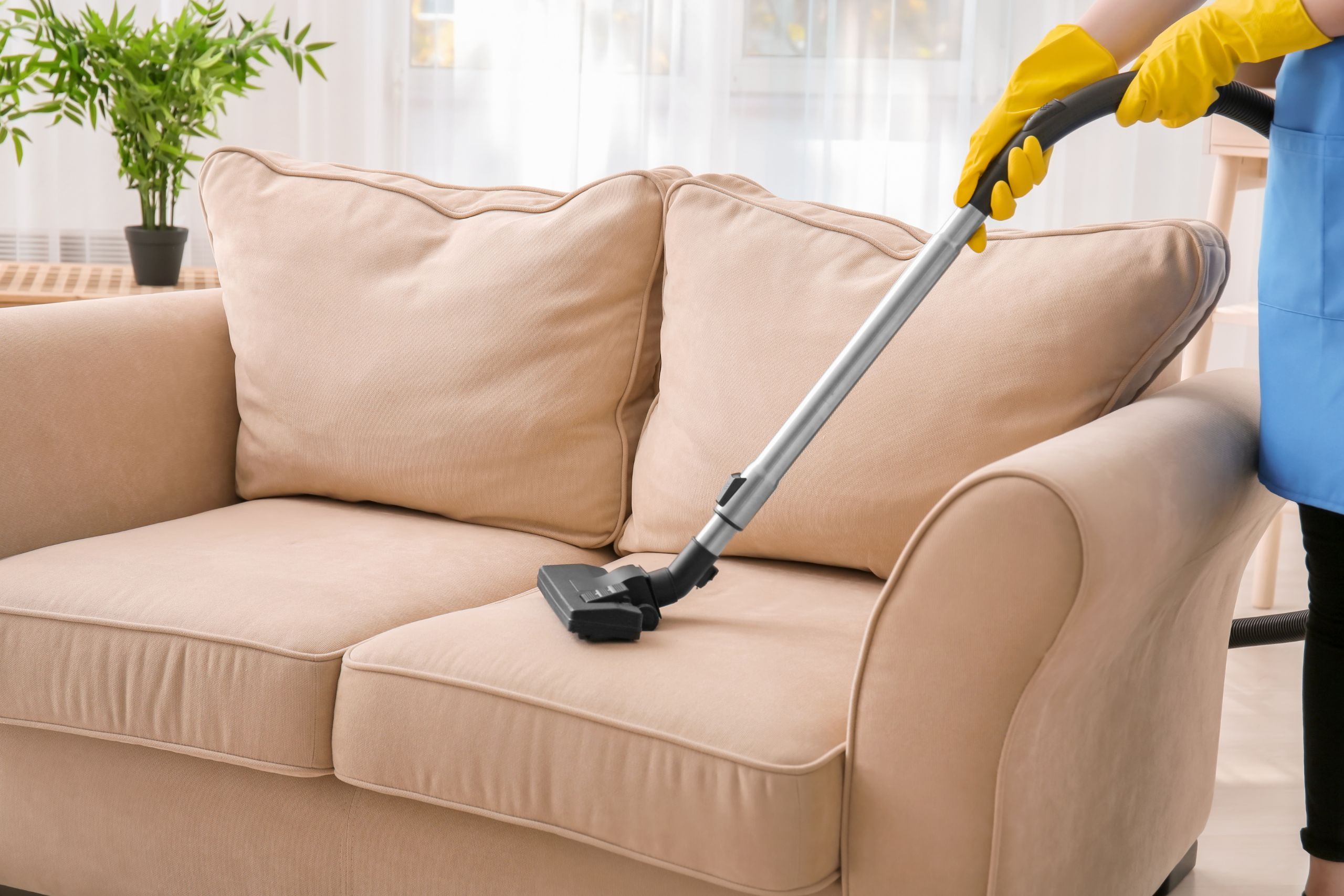 What Are Professional Carpet And Upholstery Cleaning Services?
